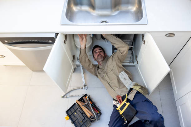 Best Plumbing Services Near Me  in Pasadena Hills, FL