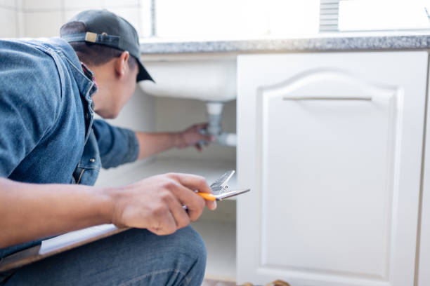 Best Water Softener Installation  in Pasadena Hills, FL