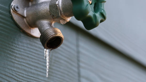 Best Sewer Line Repair  in Pasadena Hills, FL