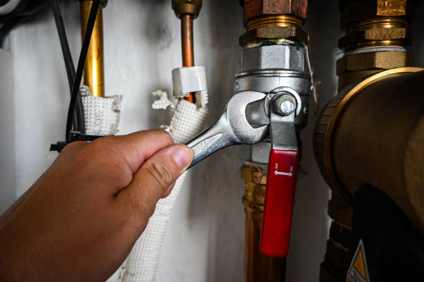 Best Drain Cleaning Services  in Pasadena Hills, FL